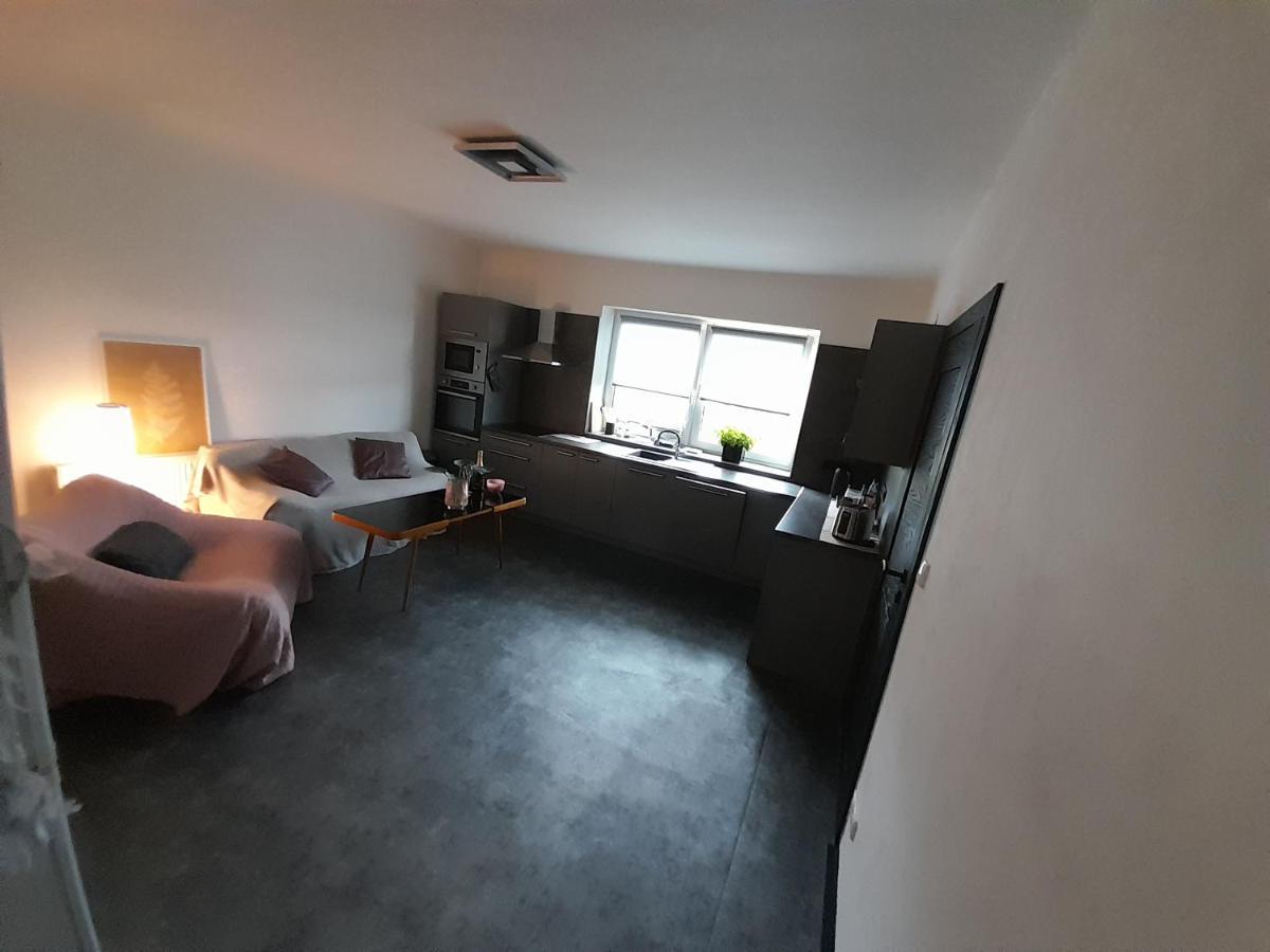 Apartman Devade Se Dvema Loznicemi A Wifi Pripojenim 特鲁特诺夫 外观 照片