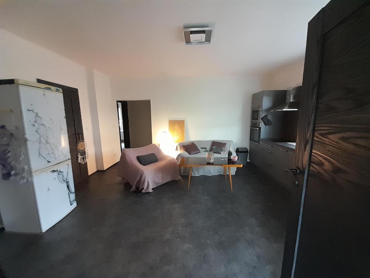 Apartman Devade Se Dvema Loznicemi A Wifi Pripojenim 特鲁特诺夫 外观 照片